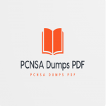 PCNSA Dumps PDF